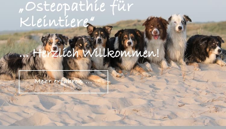 Vorschau von Tierarztpraxis Antje Brendel #Osteopathie #Homöopathie #Phytoptherapie #Tönning #Garding #SPO #Eiderstedt #Nordfriesland
