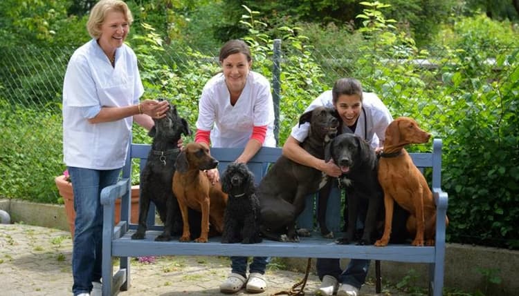 Vorschau von Kleintierklinik München Riem - Dres. med. vet. Lutz