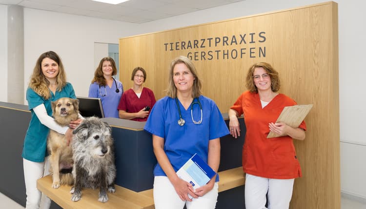 Preview of Dr. Sabine Lentz - Tierarztpraxis Gersthofen
