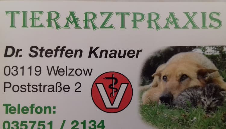 Vorschau von Dr.med. vet. Steffen Knauer