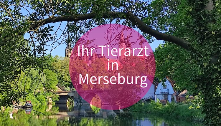 Vorschau von Tierarztpraxis Rollin