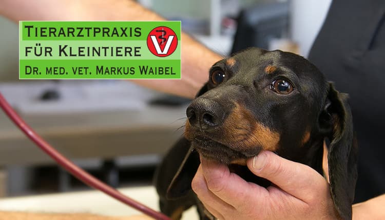 Vorschau von Dr. med. vet. Markus Waibel Tierarzt