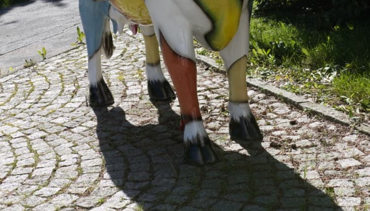 Vorschau von Landtierärztin Verena Uhlmann - Tierarztpraxis für Klein- und Großtiere