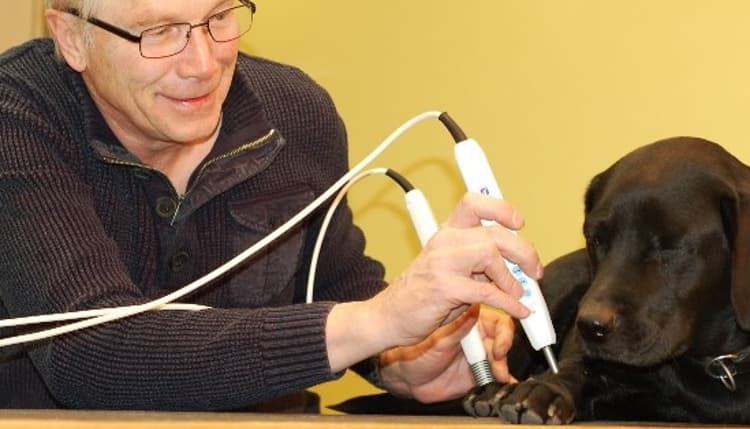 Preview of Tierarztpraxis Dr. med. vet. Uwe Petermann