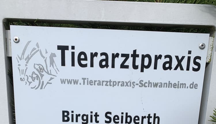 Vorschau von Birgit Seiberth