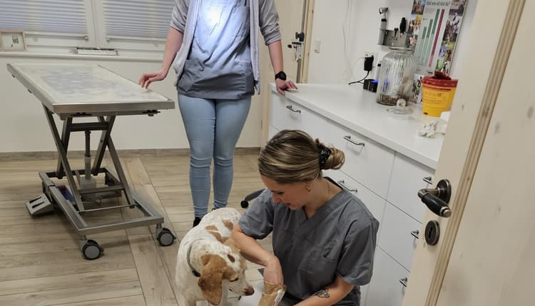 Vorschau von Sabine Nissen Tierärztin