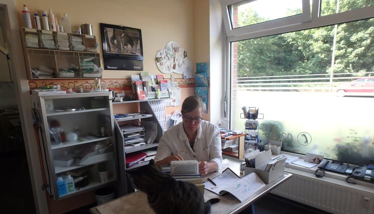 Preview of Dr.med.vet. Veronika Madeiczyk Kleintierpraxis