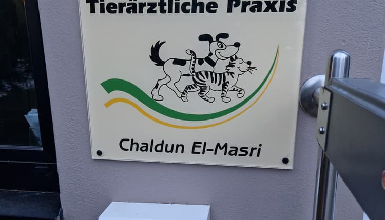 Vorschau von Chaldun El-Masri