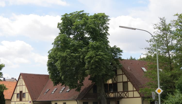 Vorschau von Tierärzte Ettleben