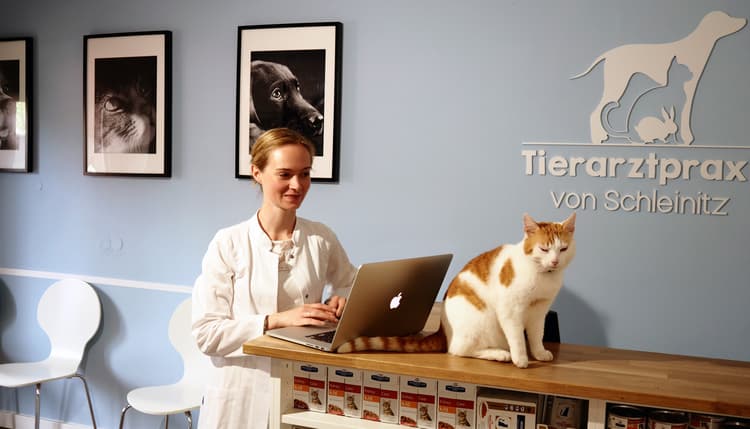 Vorschau von Tierarztpraxis von Schleinitz