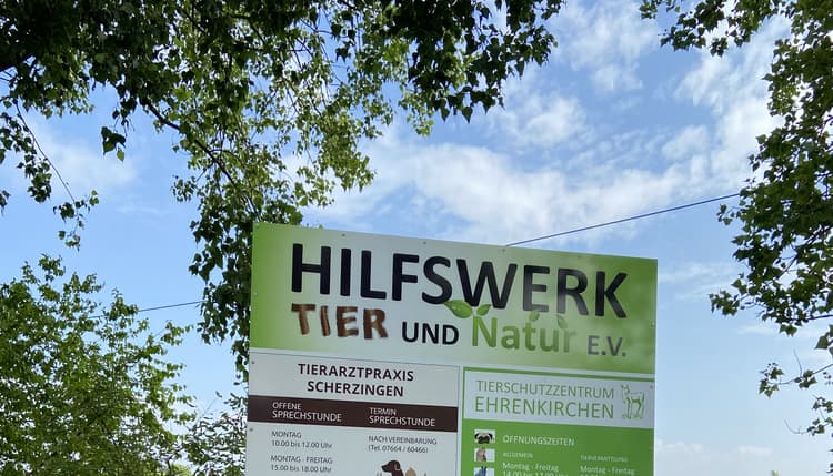 Preview of Tierarztpraxis Scherzingen