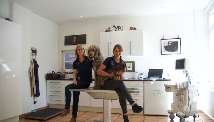Vorschau von Tierarztpraxis Dr. Insa Rulffes und Dr. Nele Seybold