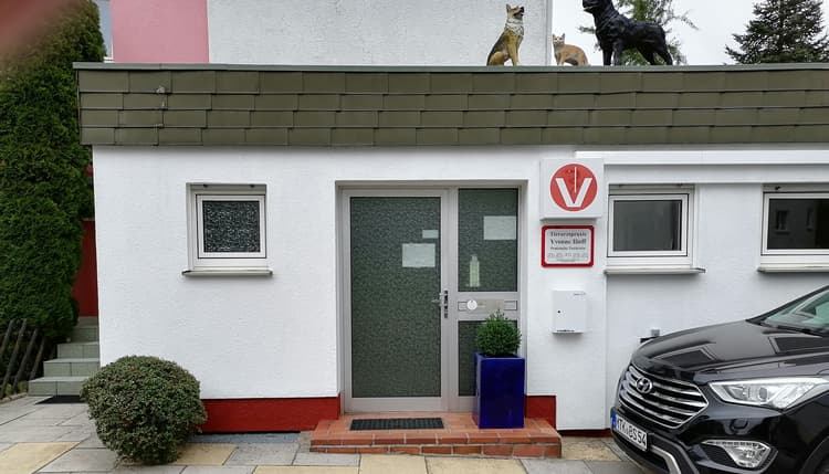 Vorschau von Yvonne Ilieff Tierärztin