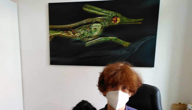 Vorschau von Kleintierpraxis Dr.med.vet. Ulrike Thome