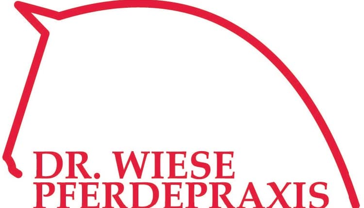 Vorschau von Wiese Kai Boris Pferdepraxis