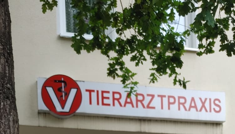 Vorschau von Tierarztpraxis Guddat