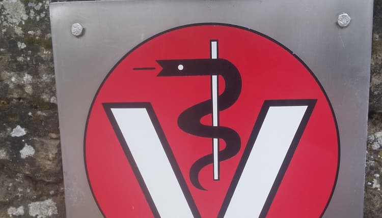 Vorschau von Tierarztpraxis S. Ruch und H. G. Hamacher