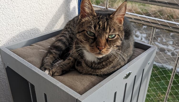 Vorschau von Dr. med. vet. Annette Hengst