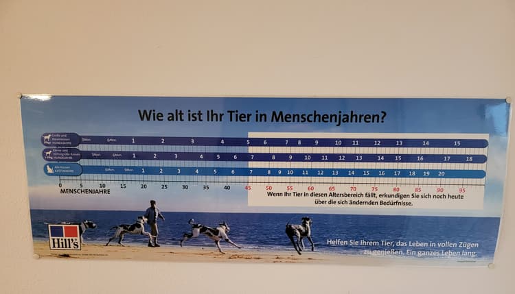 Vorschau von Funk Karolina