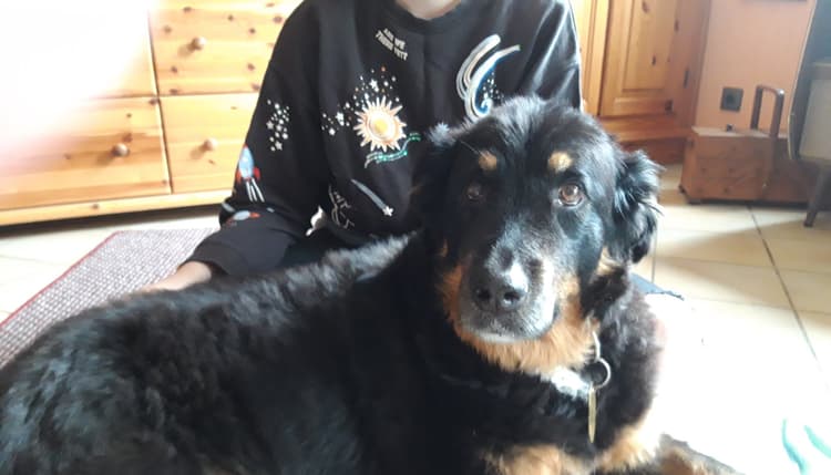 Vorschau von Kleintierpraxis Dr. Blasberg und Dr. Floss