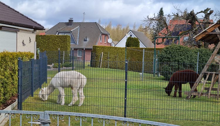 Vorschau von Dagmar Thüring Tierärztin