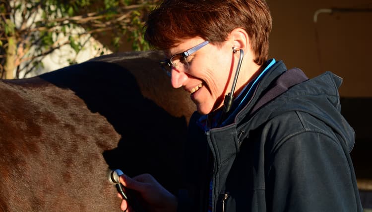 Vorschau von Tierarztpraxis Dr. Maren Franke