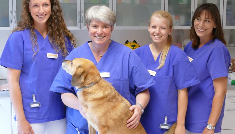 Vorschau von Dr. med. vet. Annegret Kaspers