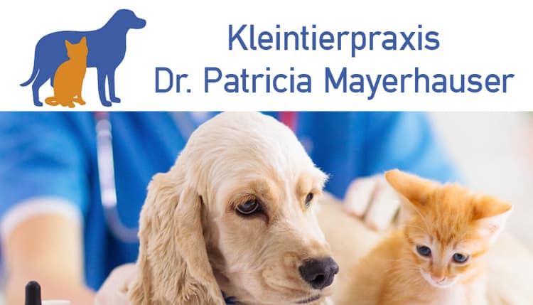 Vorschau von Dr. P. Mayerhauser, Kleintierpraxis im Gewerbehof Unterfeldweg