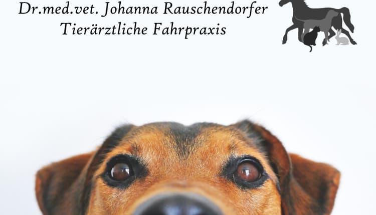 Vorschau von Tierärztliche Fahrpraxis Dr. Johanna Rauschendorfer