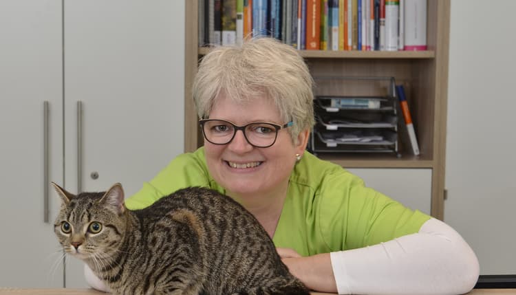 Vorschau von Tierarztpraxis Dr. Stephanie Findel