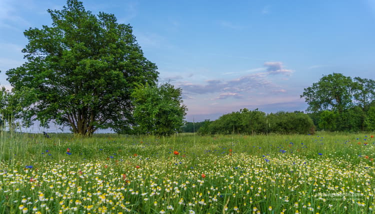 Vorschau von Tierarztpraxis Am Mellensee