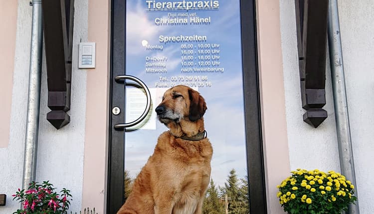 Preview of Tierarztpraxis Zur Steinbrückmühle