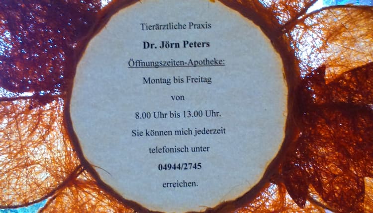 Vorschau von Dr.med.vet. Jörn Peters Tierarzt