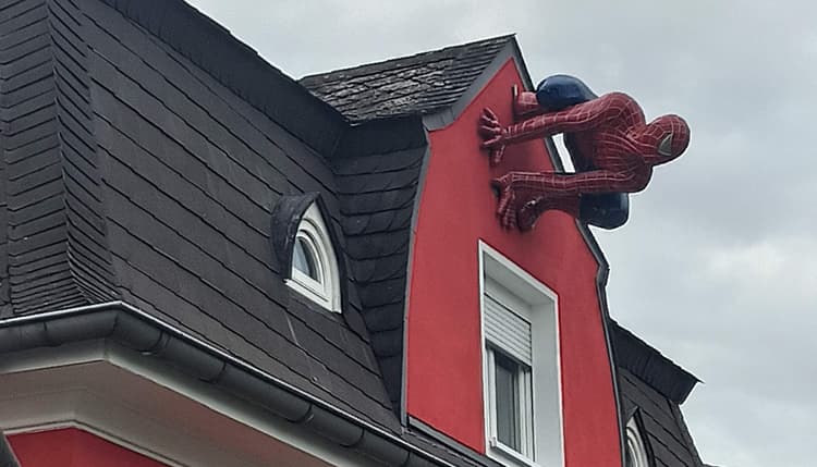 Vorschau von Frauke Gebauer prakt. Tierärztin