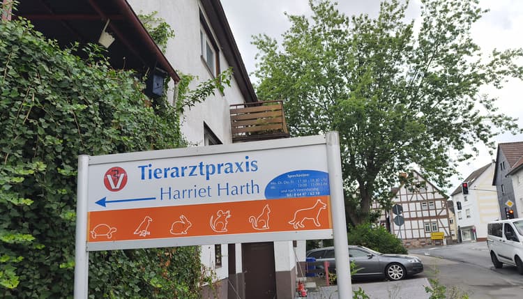 Vorschau von Harriet Harth Tierarzt