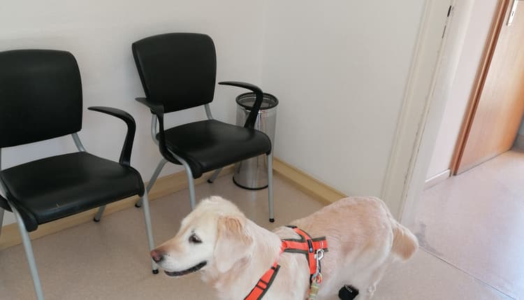 Preview of Dr.med.vet. Martin Schweizer
