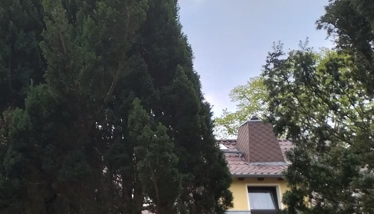 Vorschau von Tierarztpraxis Groß Köris Fabienne Gutschwager Praktische Tierärztin