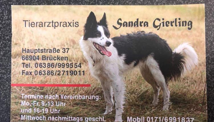 Vorschau von Sandra Gierling Tierärztin