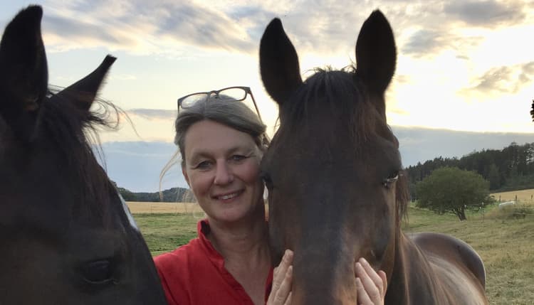Vorschau von Dr. med. vet. Gabriele Kisters, ambulante Pferdepraxis