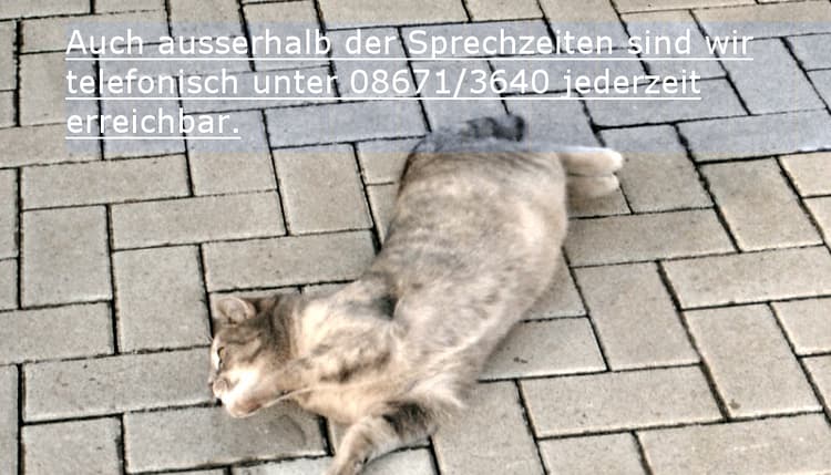 Vorschau von Tierarztpraxis Robert Sohl