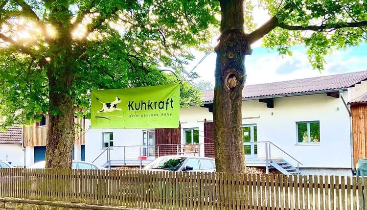 Vorschau von Kuhkraft