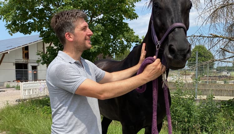 Vorschau von Tierarztpraxis im Maiwald