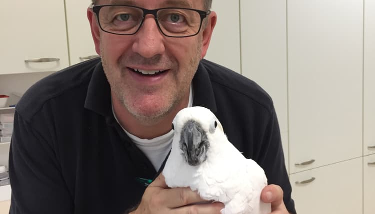 Vorschau von Tierarztpraxis PD Dr. med. vet. Thomas Göbel