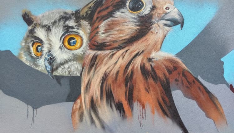 Vorschau von Tierarztpraxis Falkenhorst in Klingenthal (Vogtland)