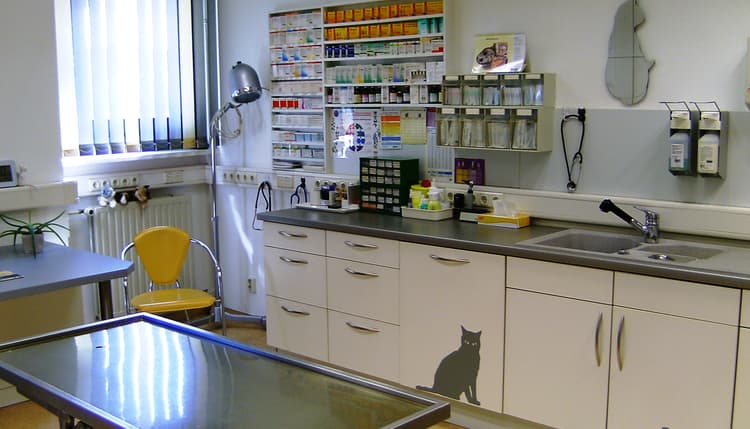 Vorschau von Tierarztpraxis Monika Volbracht