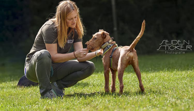 Preview of Hundeschule & Praxis für Verhaltensmedizin Dr. Sandra Bruns