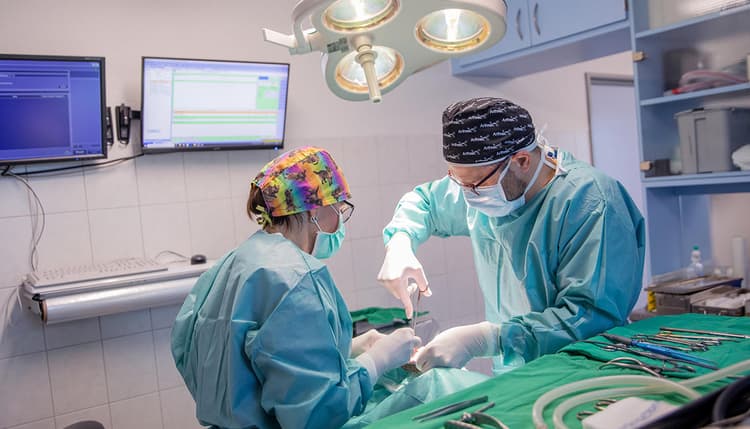 Vorschau von Kleintierzentrum am Schmelzbach Fachpraxis für Kleintiermedizin