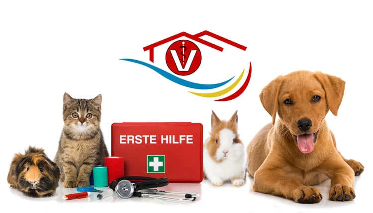 Vorschau von Tierarztpraxis Dr. med. vet. Dieter Göbel