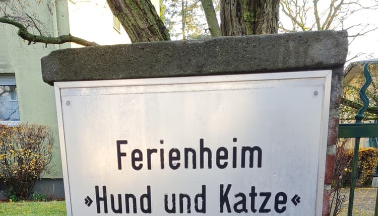 Vorschau von Fachtierarzt für Kleintiere Dr. Gerriets