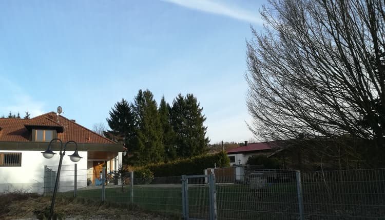 Vorschau von Ralph Faltenbacher
